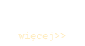 
          więcej>>